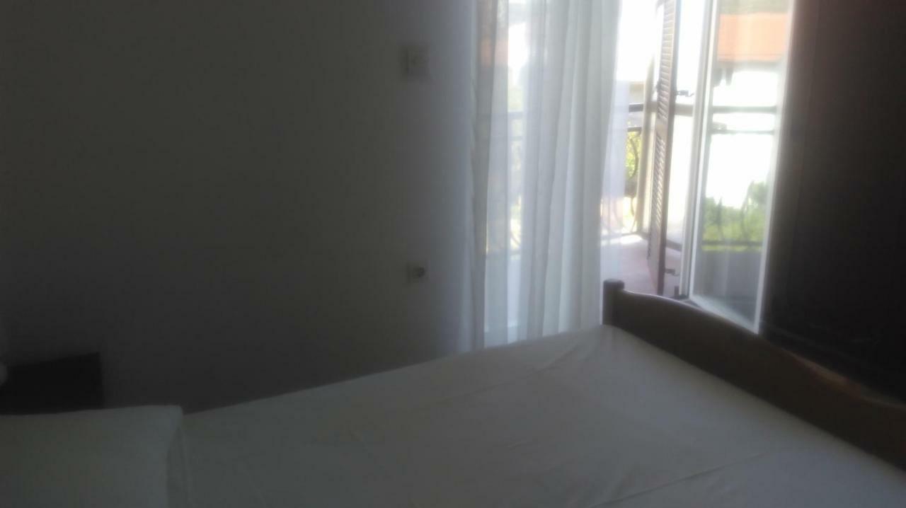 Mravak Trogir