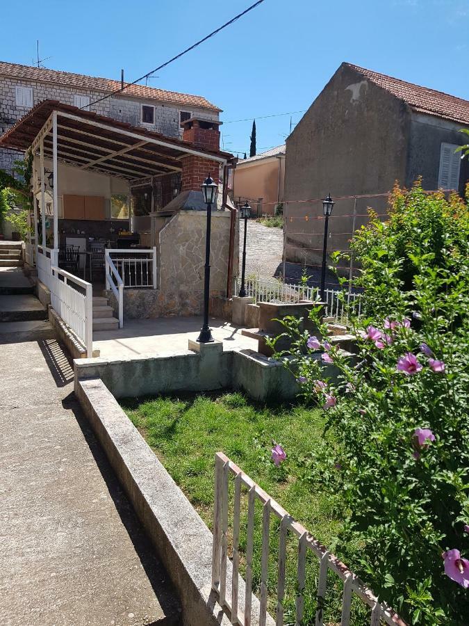 Mravak Trogir
